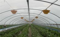 충주, LED 농업조명 실용화 