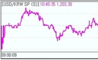 원·달러 1200원초 옥신각신.."경계감 높아"