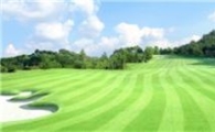 남춘천골프장 '숏게임클리닉' 무료