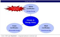 [탄소시장의 비밀]⑪ 기후 및 에너지정책(화이트·그린·블랙 인증서)