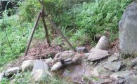 마포구 와우산 생태숲으로 탈바꿈