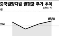 중국원양자원, 한국 상장 中기업 중 '눈에 띄네' 