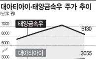 주도주 '조정' 테마·우선주가 비상구?