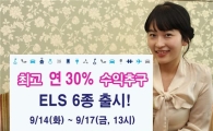 신한금융투자, 연 최고 30% 수익추구 ELS 6종 공모