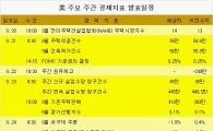 버냉키, 추가부양책 내놓을까
