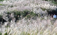 [포토]눈 내린 하늘공원!