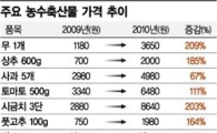 [르포]치솟는 밥상물가..직접 구입해보니