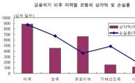 "위기후 선진국-신흥국 금융산업 격차 줄어"<삼성硏>