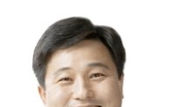성북구, 불법자동차 일제 정리