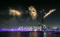 [포토]2010세계불꽃축제!