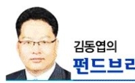 [김동엽의펀드브리핑]대중 소비시대로 접어드는 중국과 컨슈머 펀드 