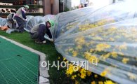 [포토]비닐옷 입는 서울광장 꽃들