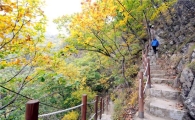 [여행]만경대 벼랑에 올라 가을을 내려다 보다