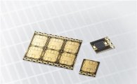 삼성전자, 전자여권용 칩 최고 수준 보안 등급 획득