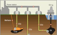 [탄소시장의 비밀](24) 탄소포집(CCS)