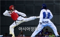 태권도협회, 편파판정 논란 해당 심판 제명 조치