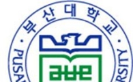'총장 직선제 유지' 부산대 교수, 투신 사망…"원점에서 재논의"
