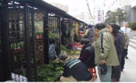 종로구, 노점상 관리 행정 최우수구 선정