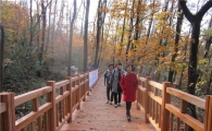 우면산 등산로 깔끔하게 새단장