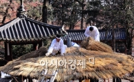[포토] 새옷 갈아입는 창덕궁 청의정