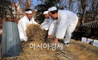 [포토] 창덕궁 청의정 '초가지붕' 새 짚으로