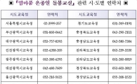 유·초등생 ‘새벽부터 밤까지’ 온종일 돌봄교실 536곳 운영