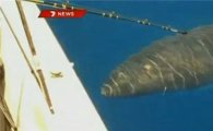 식인상어의 낚싯배 공격 장면
