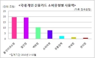 개인 신용카드 소비 '할인점＜홈·인터넷쇼핑'