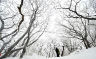 [여행]1614m 설국으로 초대 부츠신고 오세요
