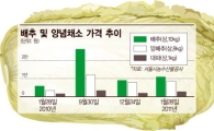 돼지고기·계란 이어 또 배추 대란?