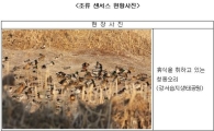 올 겨울 철새 82종, 지난해보다 9종 ↑..멸종위기종 18종은 새로 등장