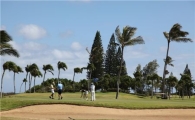 [김맹녕의 골프기행] "바람과의 전쟁~" 하와이 카이골프장