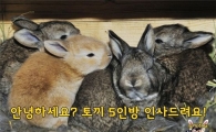 신묘년에 만난 자이언트 토끼 5형제 이야기