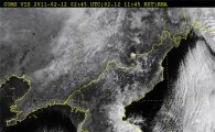 [날씨] 동해안 눈폭탄 오늘 50cm 더 온다