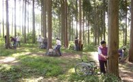 자연휴양림, 장애인 등에 ‘무료 숲 체험행사’