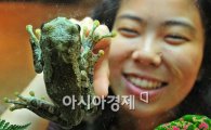 [포토] 해맑은 개구리 소녀
