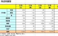 [펀드동향]국내주식펀드 이틀째 순유입 