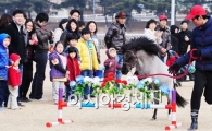 [포토] 미니호스 멋진 점프