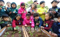[포토] 꼬마농부들의 모종 심기