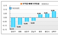 '재건축 악재?'...강남권 아파트값 19주만에 상승 '스톱'