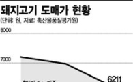 뛰던 돼지는 멈추고 뛰던 오리는 날았다