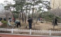 도봉구, 30일 나무심기행사 가져 