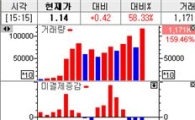 옵션 대표변동성 이틀째 풋보다 콜