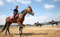 [주말레이싱] 무료 교육, 취업률 100%... 말 되네