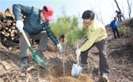 유종필 관악구청장, 미성동 일대 나무 심기 나서 