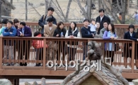 [포토]오랑우탄도 침팬지 새집구경?