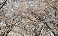 [날씨]화창한 봄날씨·· 봄바람 솔솔