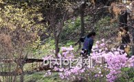 [포토] 봄 향기 묻어나는 산책로