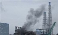 일본의 불행 "원전 대체할 에너지 없다"