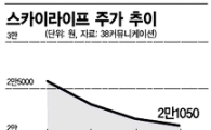 KT스카이라이프 '상장痛'